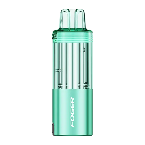 BUY 1 GET 1 FREE Miami Mint FOGER Switch Pro Disposable | Vape Amazon India
