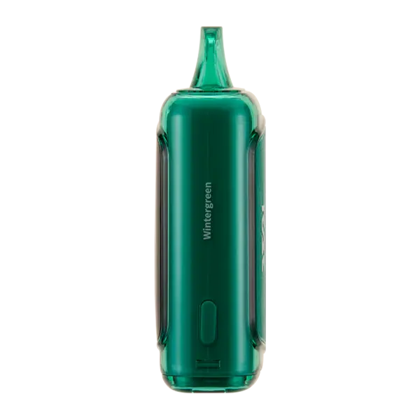 BUY 1 GET 1 FREE Wintergreen RAZ LTX 25000 | Vape Amazon India RAZ