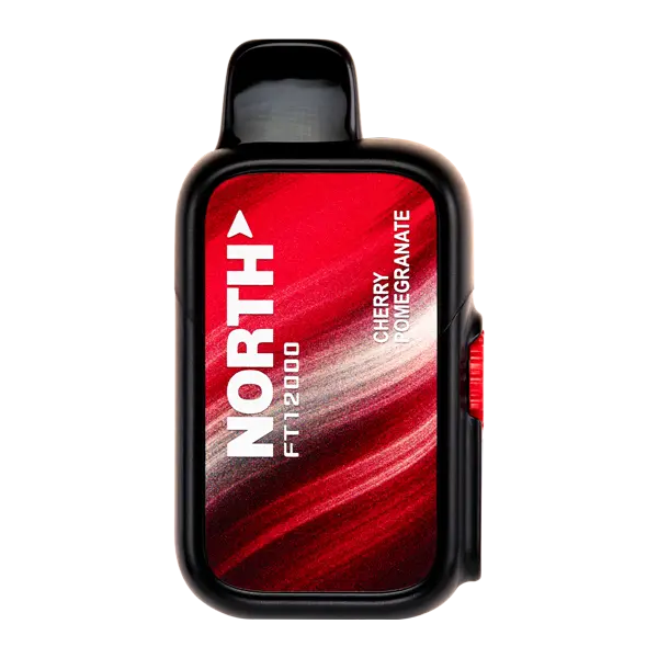 BUY 1 GET 1 FREE Cherry Pomegranate North FT12000 | Vape Amazon India