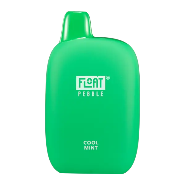 BUY 1 GET 1 FREE Cool Mint FLOAT Pebble | Vape Amazon India