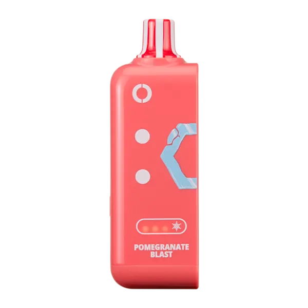 BUY 1 GET 1 FREE Pomegranate Blast Ice Off Stamp Ice Cube | Vape Amazon India